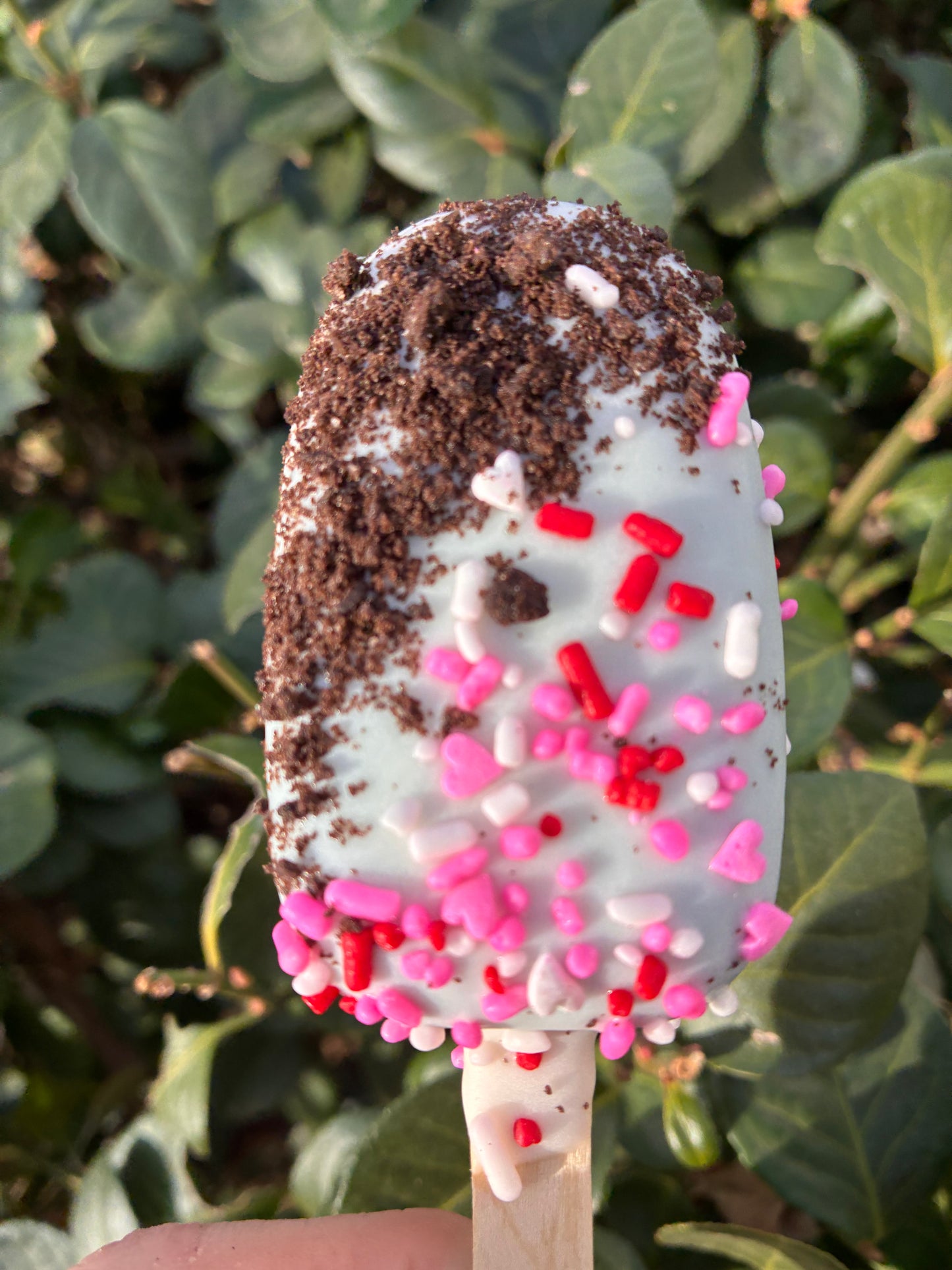 Cookies N’ Cupid Cakesicle