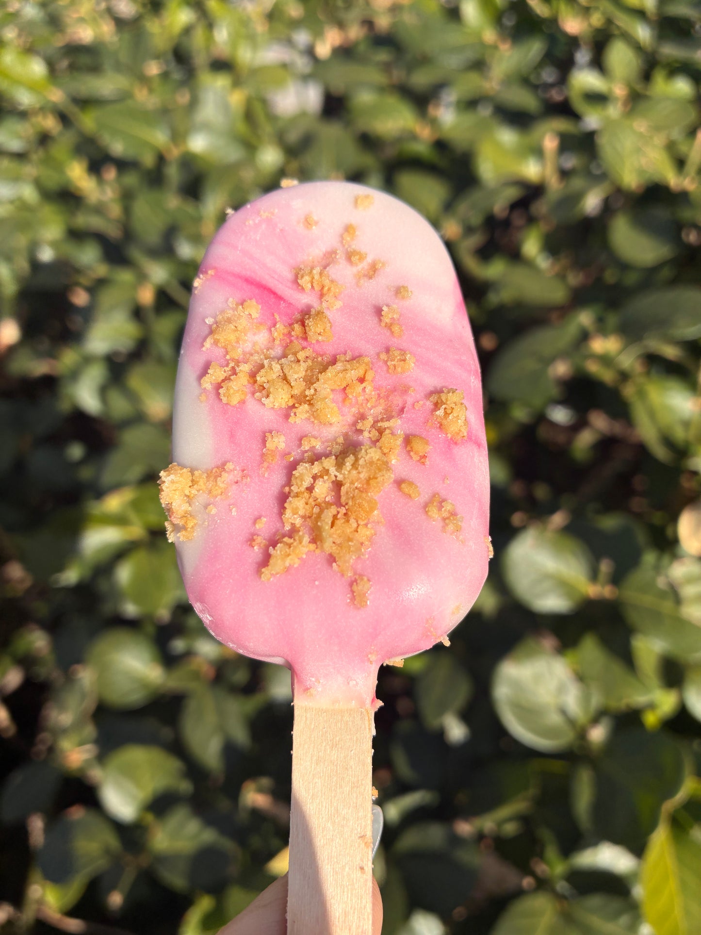 Strawberry Crunch Cakesicle