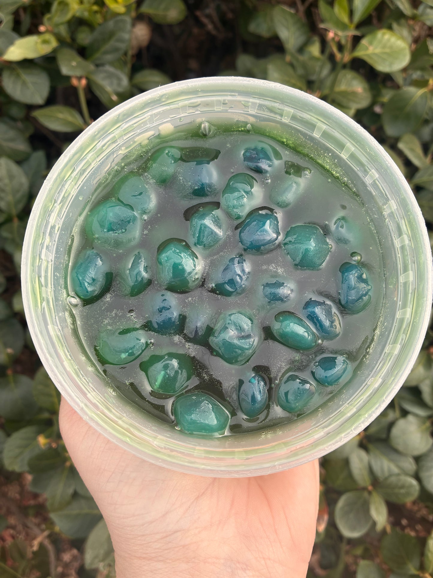 Sugar Belle Swamp Gushers | Extra Sour Candy Gushers with Reusable Sour Swamp Sauce