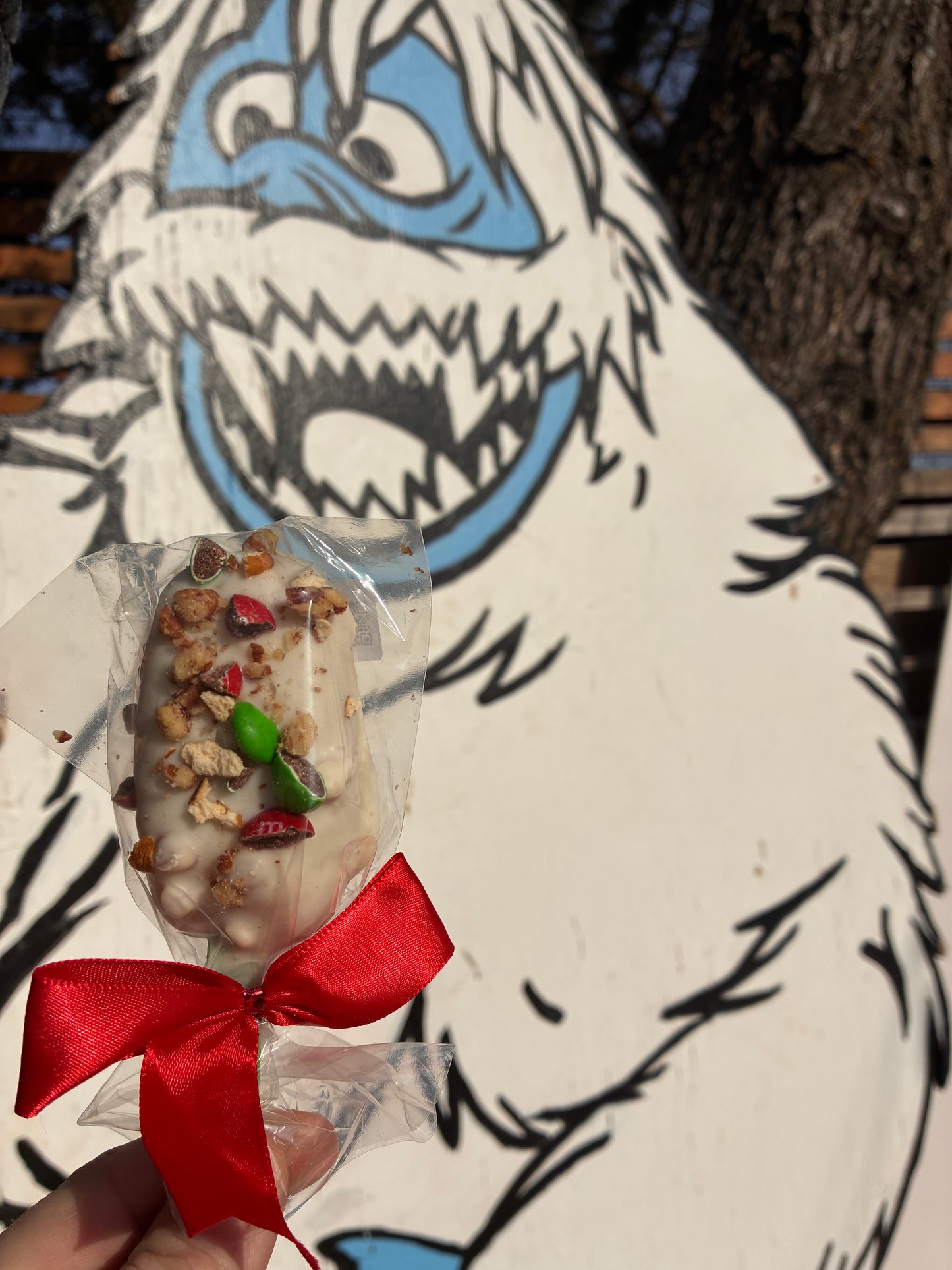 Christmas Workshop Cakesicle