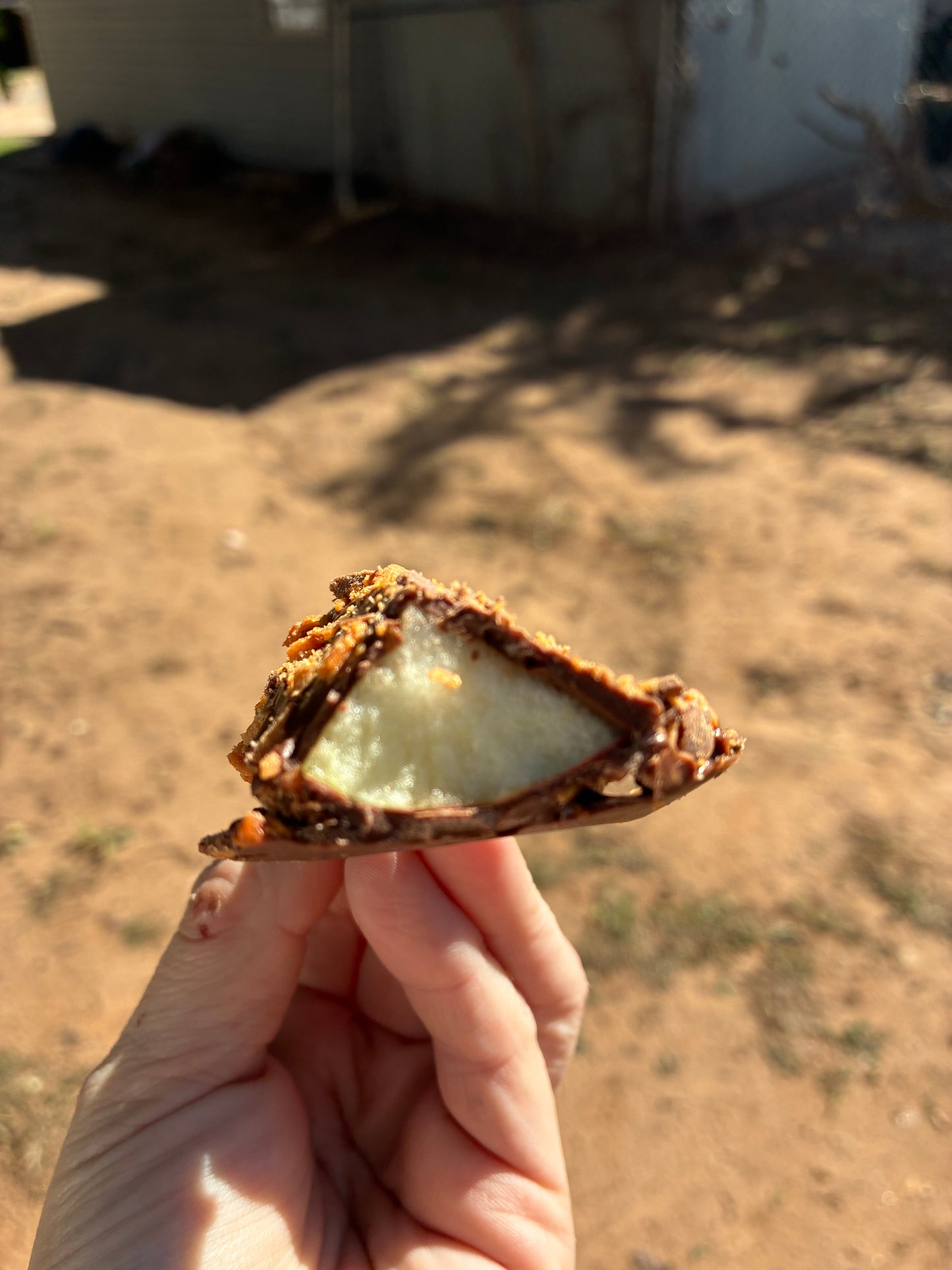 Chocolate Covered Apple Slices (Butterfinger + Heath Crunch)