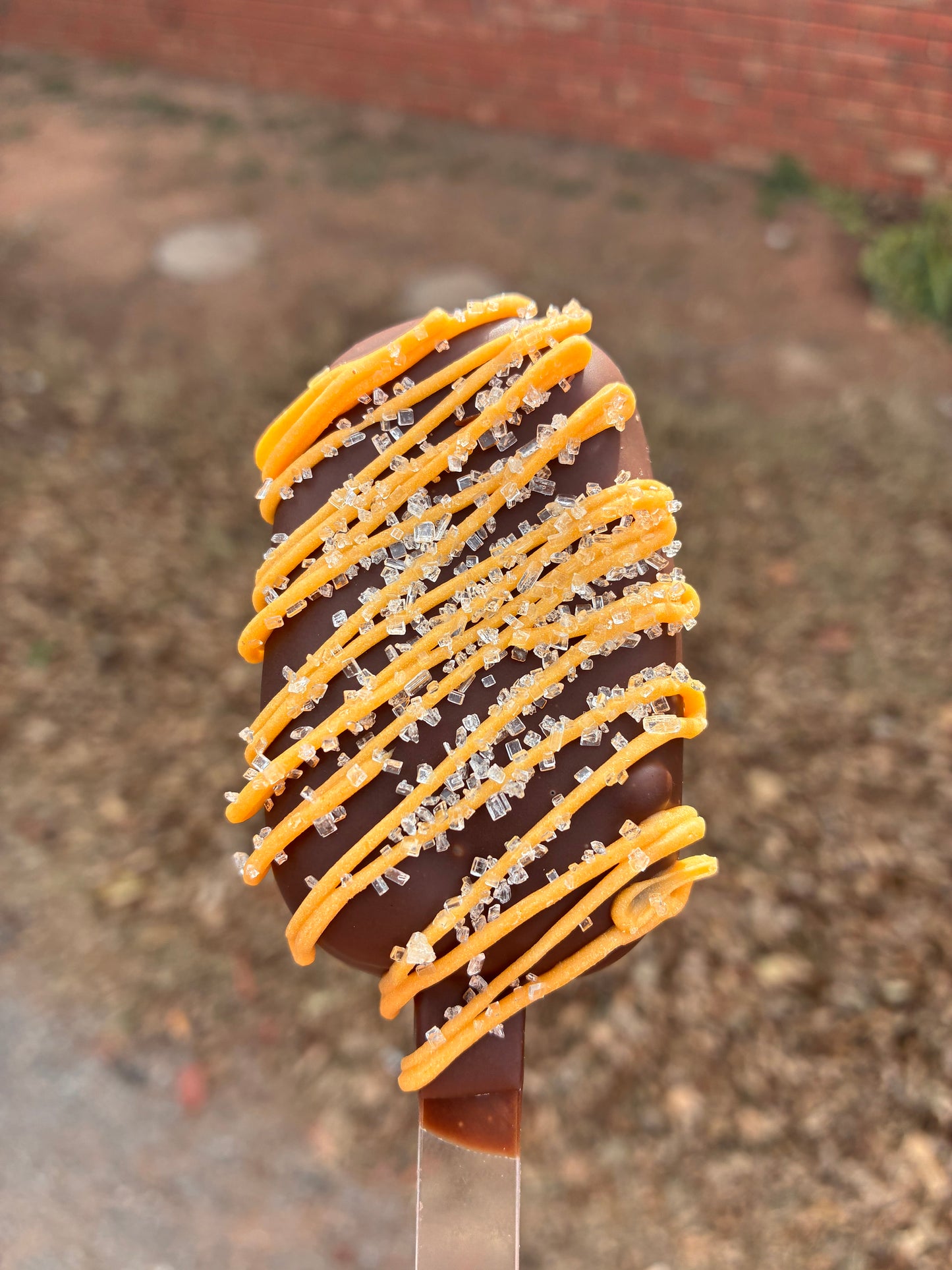 Double Chocolate Salted Caramel Cakesicle