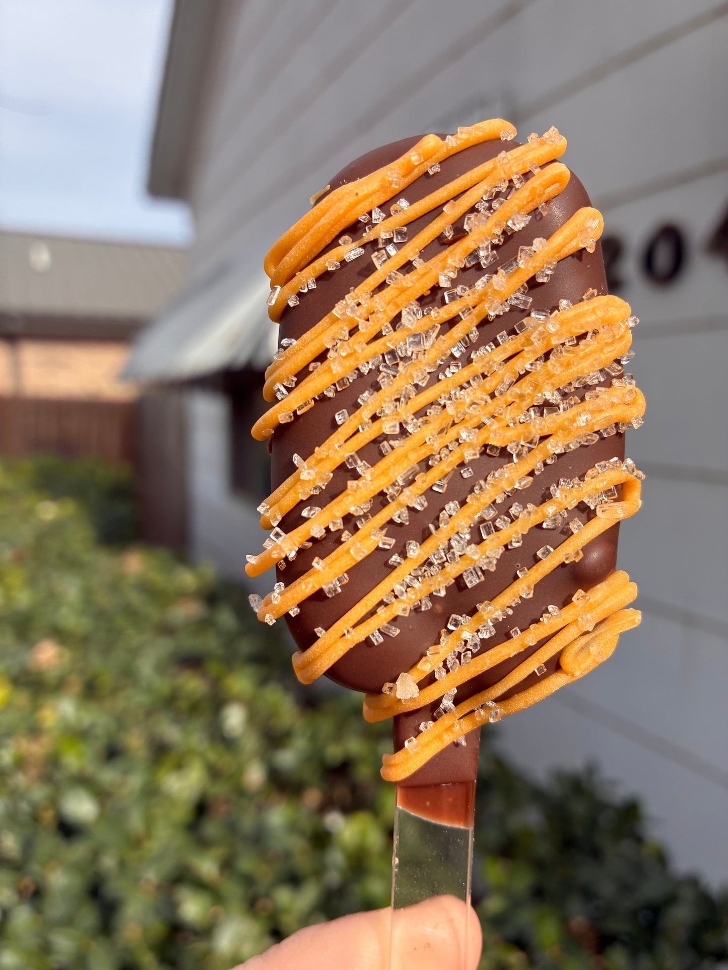 Double Chocolate Salted Caramel Cakesicle