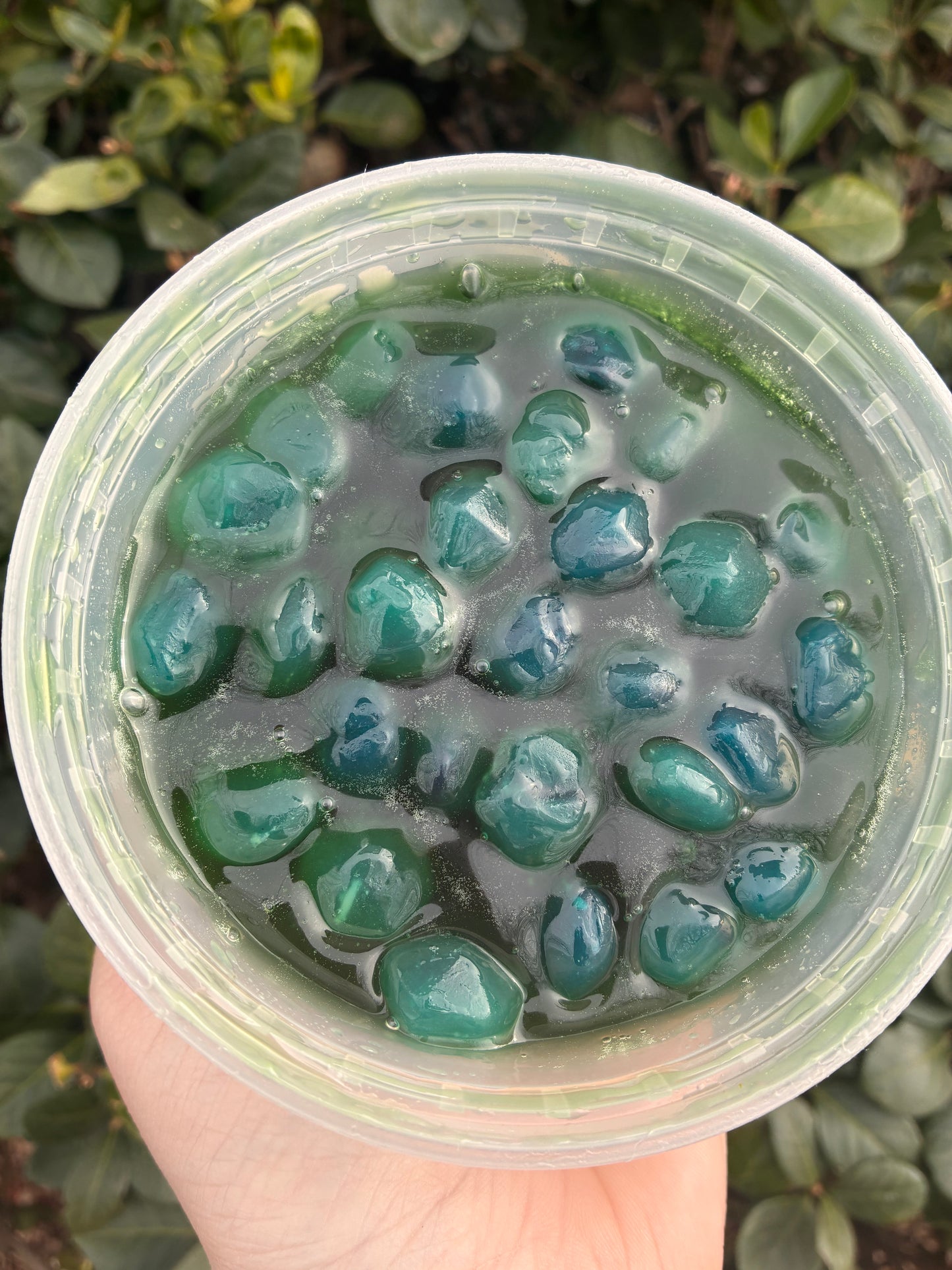 Sugar Belle Swamp Gushers | Extra Sour Candy Gushers with Reusable Sour Swamp Sauce