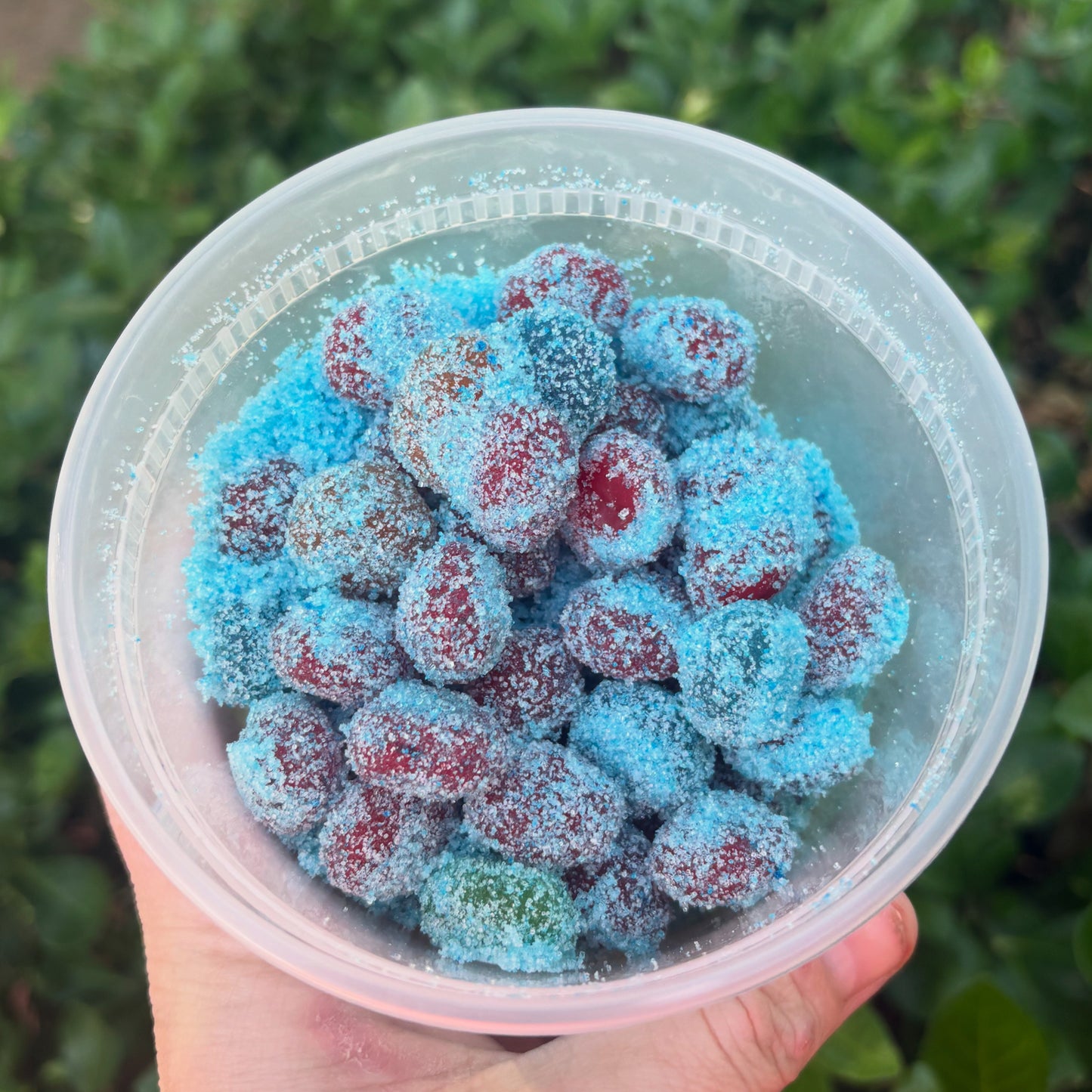 Sour Blue Raspberry Lemonade Gushers
