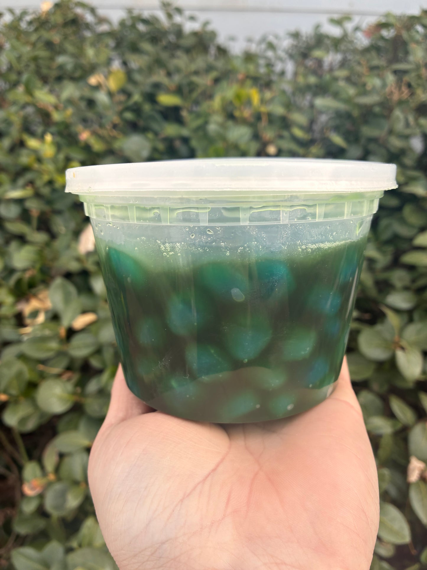 Sugar Belle Swamp Gushers | Extra Sour Candy Gushers with Reusable Sour Swamp Sauce