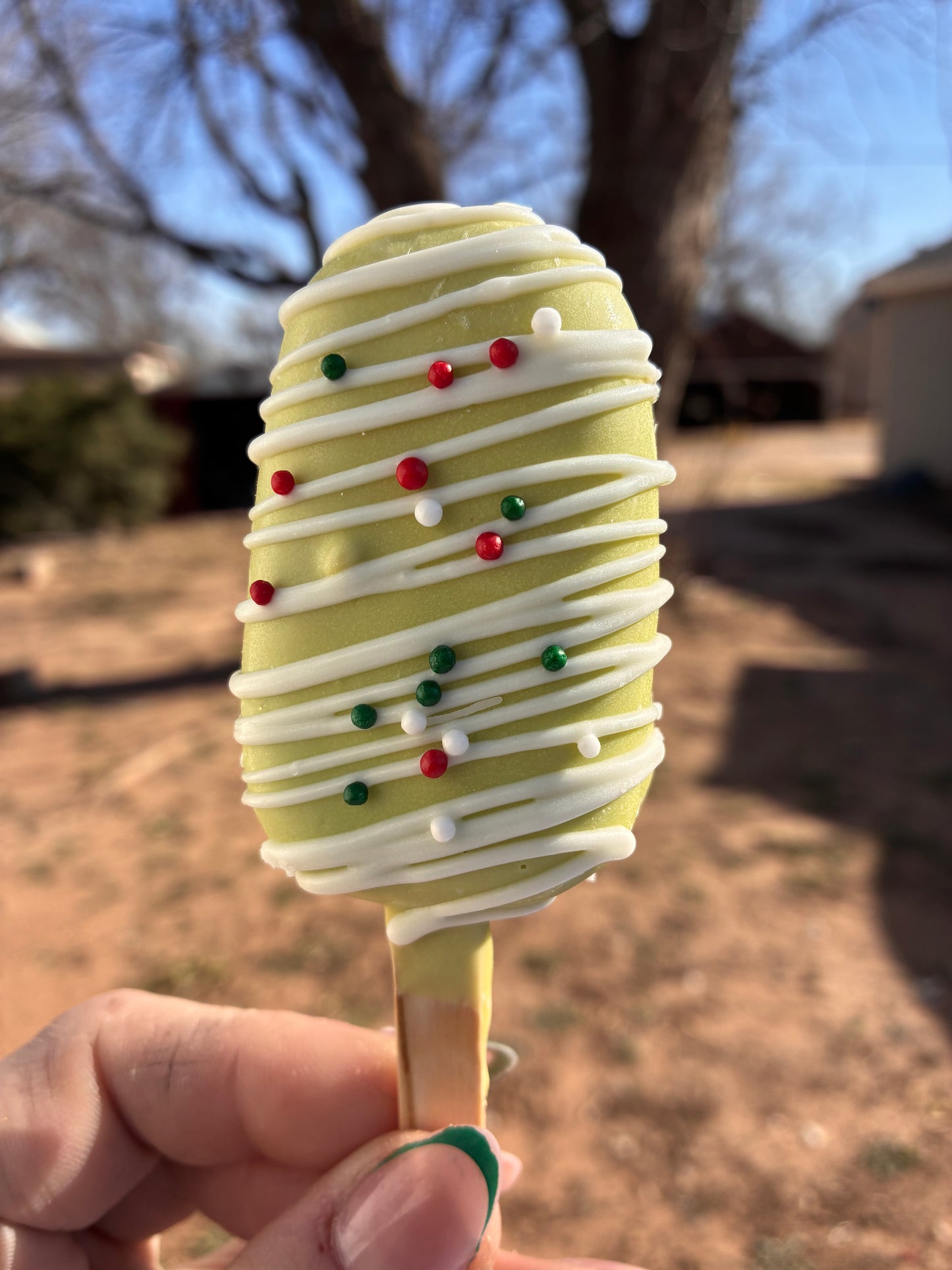 The Tonight Dough Cakesicle