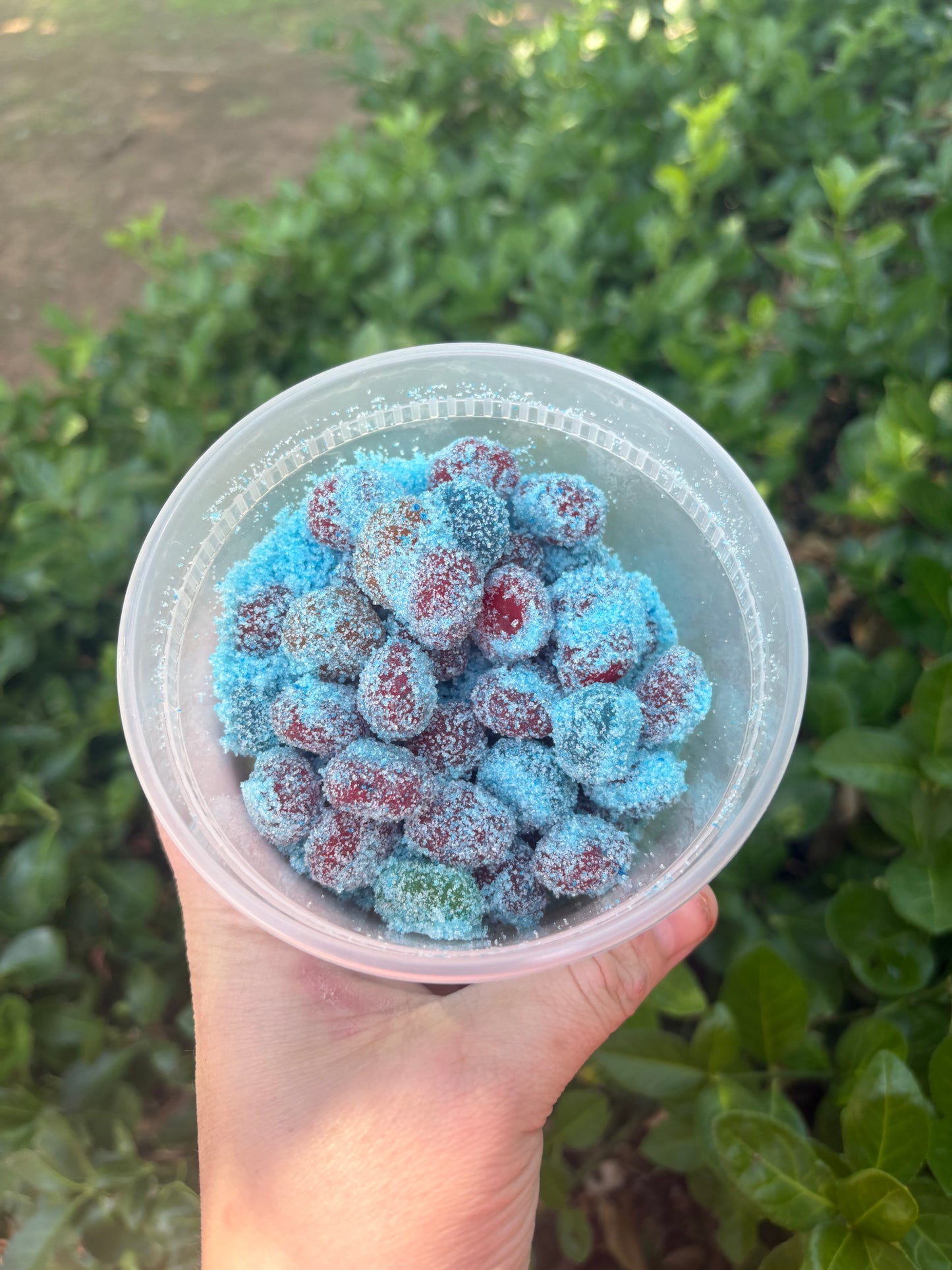 Sour Blue Raspberry Lemonade Gushers