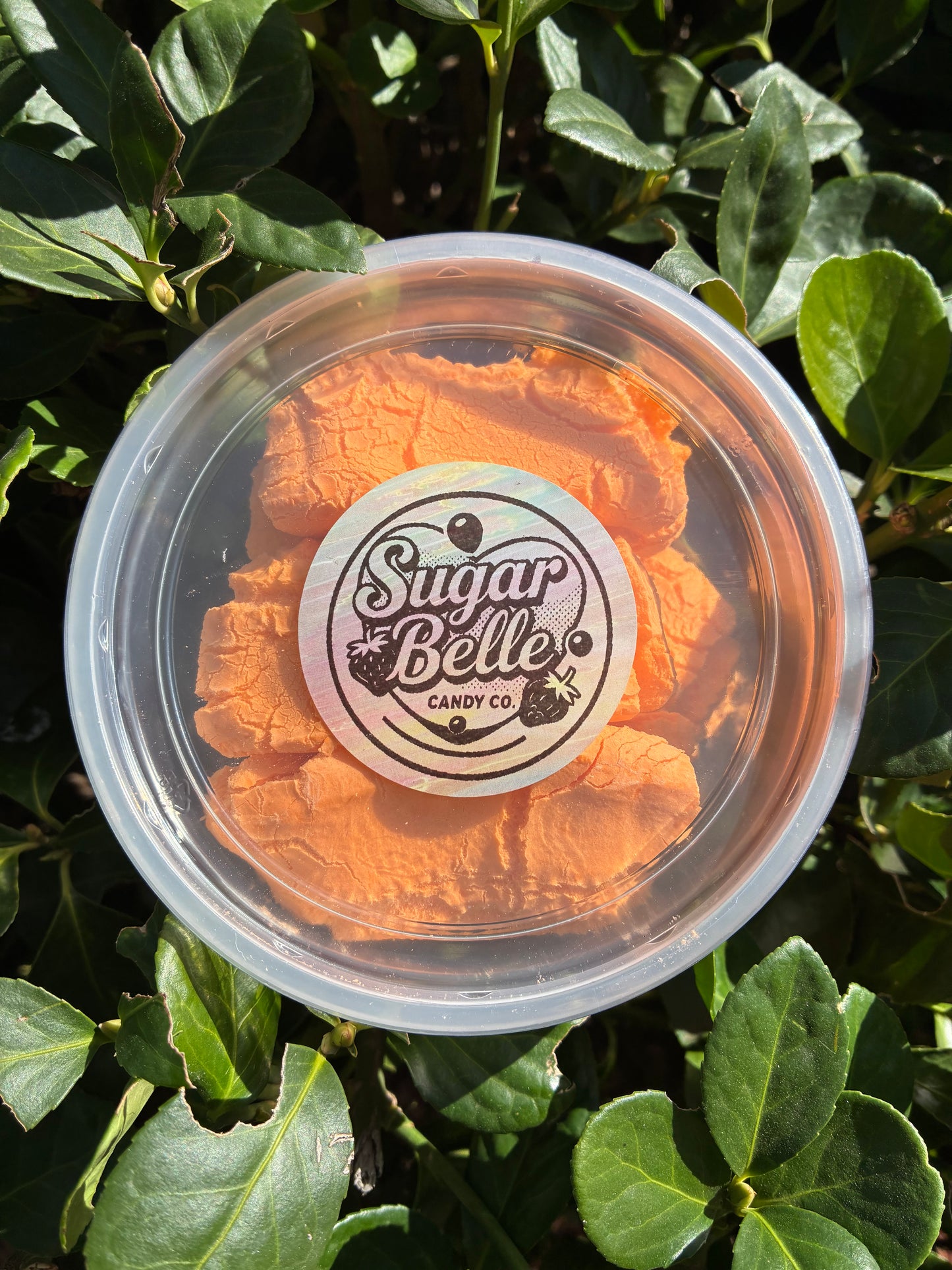 Freeze-Dried Carnival Puff Clouds (Circus Peanuts)